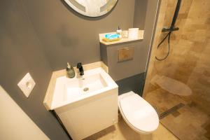a bathroom with a sink and a toilet and a shower at RMR Luxury Apartaments in Timişoara +13 photos