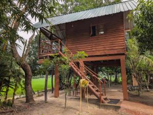 a tree house with a staircase leading up to it at Comfort Treehouse Pidurangala in Dambulla