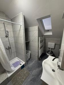 a bathroom with a shower and a sink at Kuća za odmor Marija in Gospić +16 photos