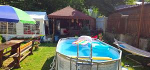 a hot tub in a yard with a pool at Villa Foisor in Buşteni
