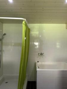 a bathroom with a tub and a shower with a green shower curtain at Bräkerhaus Toggenburg in Lichtensteig +31 photos