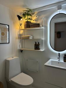 a bathroom with a toilet and a sink and a mirror at Cozy Studio - 9 min Walk from Oslo Central Station in Oslo