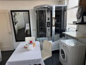 a bathroom with a shower and a washing machine at Rustige, zelfstandige studio- uitsluitend 1 persoon in Dedemsvaart