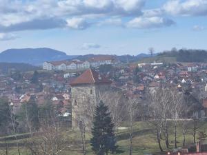 a town on a hill with houses and a tower at CARPE DIEM Unique S&P in Valjevo