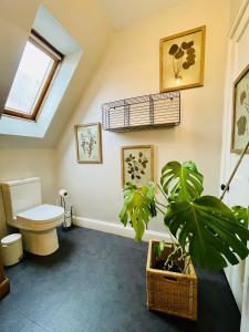 a bathroom with a toilet and a plant at Room 3, Wedale House in Stow +28 photos
