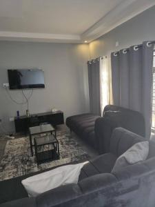 a living room with a couch and a tv at wamis Fully serviced apartments in Solwezi