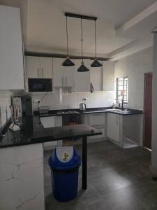 a large kitchen with a blue trash can in it at wamis Fully serviced apartments in Solwezi