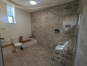 a bathroom with a walk in shower and a toilet at Kingfisher Barn in Abingdon