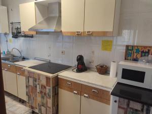 a kitchen with a sink and a microwave at Casa rural Regajo Lobos in San Bartolomé de Béjar
