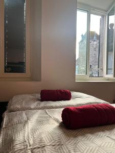 a bed with two pillows on it in a bedroom at Central Living Brugg - Redapartment in Brugg