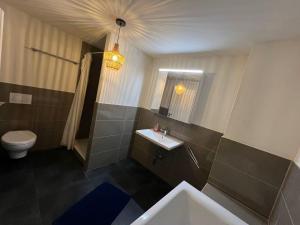 a bathroom with a sink and a toilet at Central Living Brugg - Redapartment in Brugg