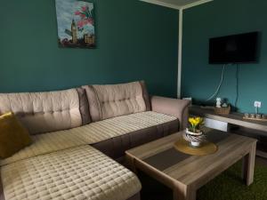 a living room with a couch and a table at Vila Jotic, Zavojsko jezero in Pirot