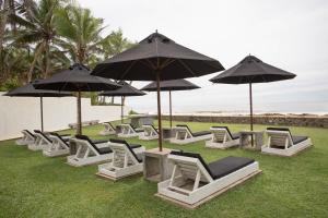 a group of lounge chairs and umbrellas on the grass at Arabella on Boossa in Galle