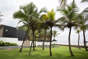 a group of palm trees in front of a building at Arabella on Boossa in Galle