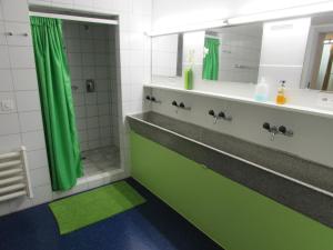 a bathroom with a green shower curtain and a mirror at Emme Lodge in Langnau +46 photos