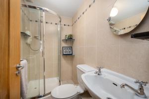 a bathroom with a toilet and a shower and a sink at Shannon View Jungle House in Athlone +30 photos