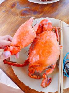 a person holding a crab on a plate with chopsticks at Sawa Sawa Beach Hotel&Backpacks in Malindi