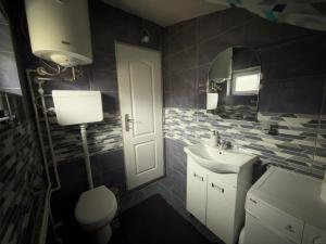 a bathroom with a sink and a toilet and a mirror at Vila Jotic, Zavojsko jezero in Pirot +49 photos