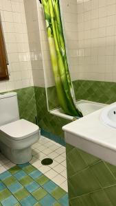 a bathroom with a toilet and a green shower curtain at ATICO RIO GENIL in Cenes de la Vega +8 photos