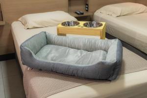 a dog bowl sitting on a bed in a room at Pousada Du Valle in Embu +92 photos