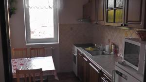 Ett kök eller pentry på Apartment Votrubcovi
