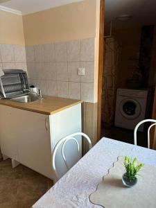 a kitchen with a table and a sink and a table and chairs at Csilla Apartman in Makó