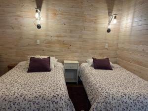 two beds in a room with wooden walls at Cabañas El Galo in Panguipulli