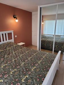a bedroom with a large bed and a mirror at Charmant appartement et jardin in Saint-Ismier