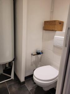 a bathroom with a white toilet and a sink at Charmant appartement et jardin in Saint-Ismier