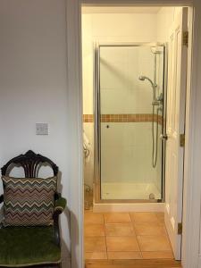 a bathroom with a shower with a glass shower backdoor at Croagh Patrick Lodge Apartment in Westport +43 photos