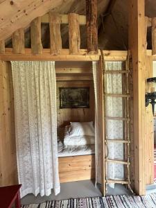 a bedroom with a bunk bed with a ladder at Cozy Off-Grid Cabin - No Power, No Running Water in Skretteberg