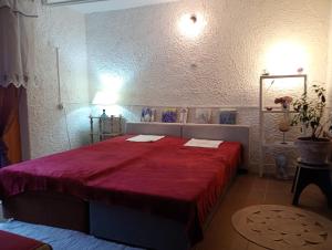 a bedroom with a red bed in a room at Pearl of Danube in Chlʼaba