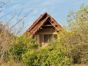 Gallery image of Saadani Beach Camp in Saadani