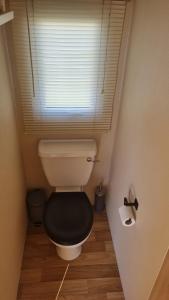 a bathroom with a toilet with a black seat at Stacaravan Duingras Ameland in Nes +20 photos