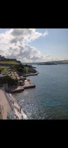 a view of a large body of water with a beach at Flat 8 in Plymouth