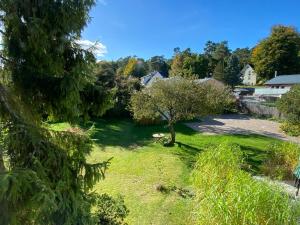 a view of a yard with a tree at Villa Cremona in Bansin