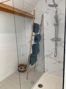 a shower with a ladder in a bathroom at Lapacy Hardelot in Neufchâtel-Hardelot +19 photos