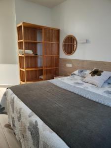 a bedroom with a large bed and a book shelf at Gazteategi in Zarautz