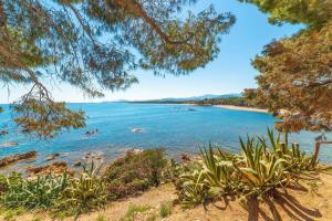 a view of a beach with trees and water at Skyline Balcony in Loceri