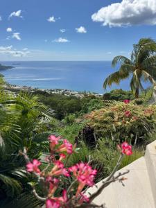 a view of the ocean and a palm tree and flowers at Bas de Villa Tropical Soul in Pointe-Noire