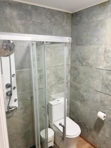 a bathroom with a shower and a toilet at Soñar en la Plaza Cervantes 2 in Alcalá de Henares +18 photos