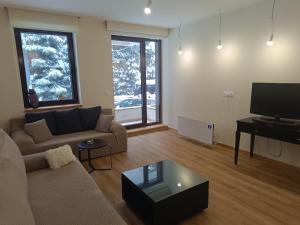 a living room with a couch and a flat screen tv at Lyra Forest Apartment in Borovets