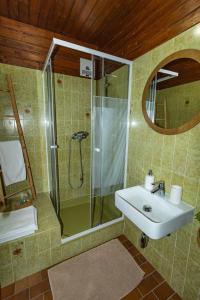 a bathroom with a shower and a sink at Apartment Schönblick in Verditz