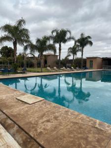 a large swimming pool with palm trees in the background at Fekhara CC in Marrakesh