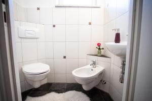 ein weißes Badezimmer mit Toilette und Waschbecken in der Unterkunft Villa Stein in Stein an der Traun