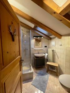 a bathroom with a shower and a sink and a toilet at Landhaus Elisabeth in Krün +43 photos