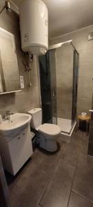 a bathroom with a toilet and a sink and a shower at Agroturystyka za lasem in Kiekrz +29 photos