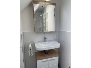 a bathroom with a sink and a mirror at Villa Kubus in Langenargen +59 photos