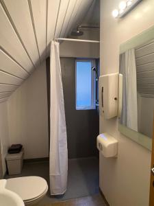 a bathroom with a toilet and a window at Skyrhusid Guesthouse in Hali