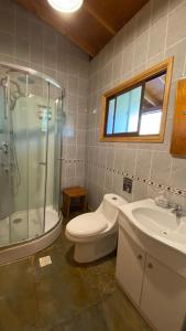 a bathroom with a toilet and a shower and a sink at Patagonia Bordelago Lodge in Puerto Ingeniero Ibáñez +17 photos